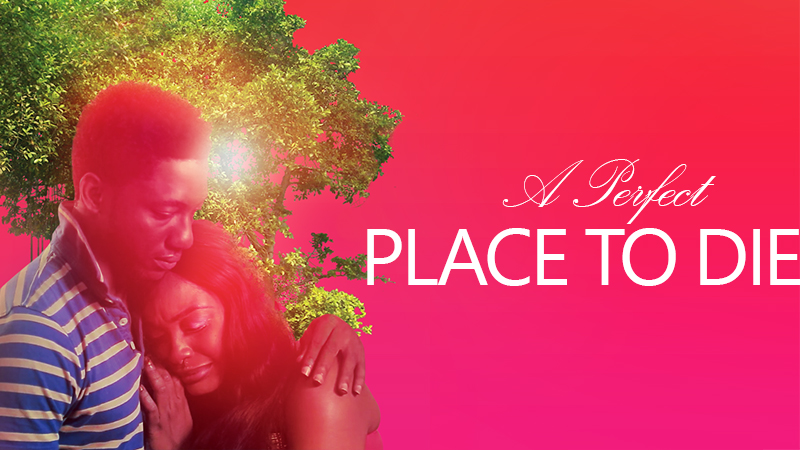 a-perfect-place-to-die-nollywood-movie