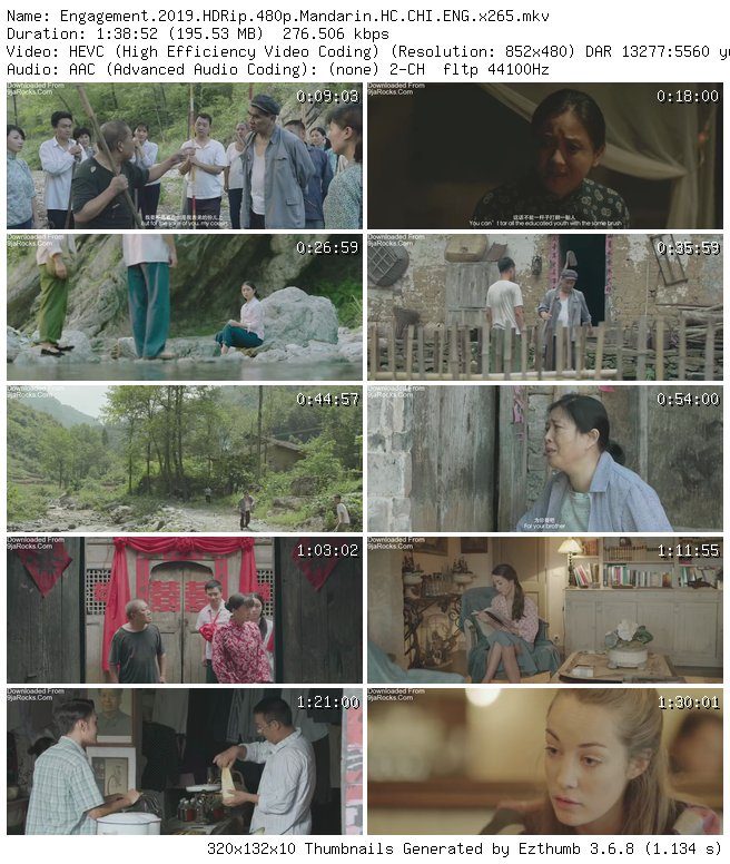 Engagement (2019) - Chinese