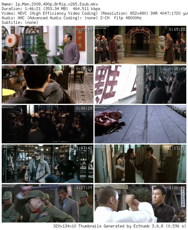 Ip Man (2008) - Chinese