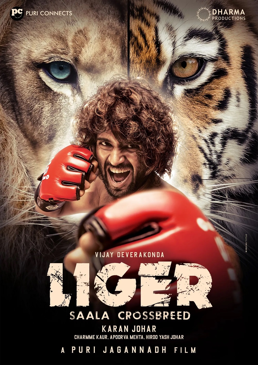 Liger 2022